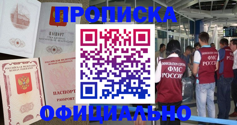 временная регистрация купить в Новгородской области